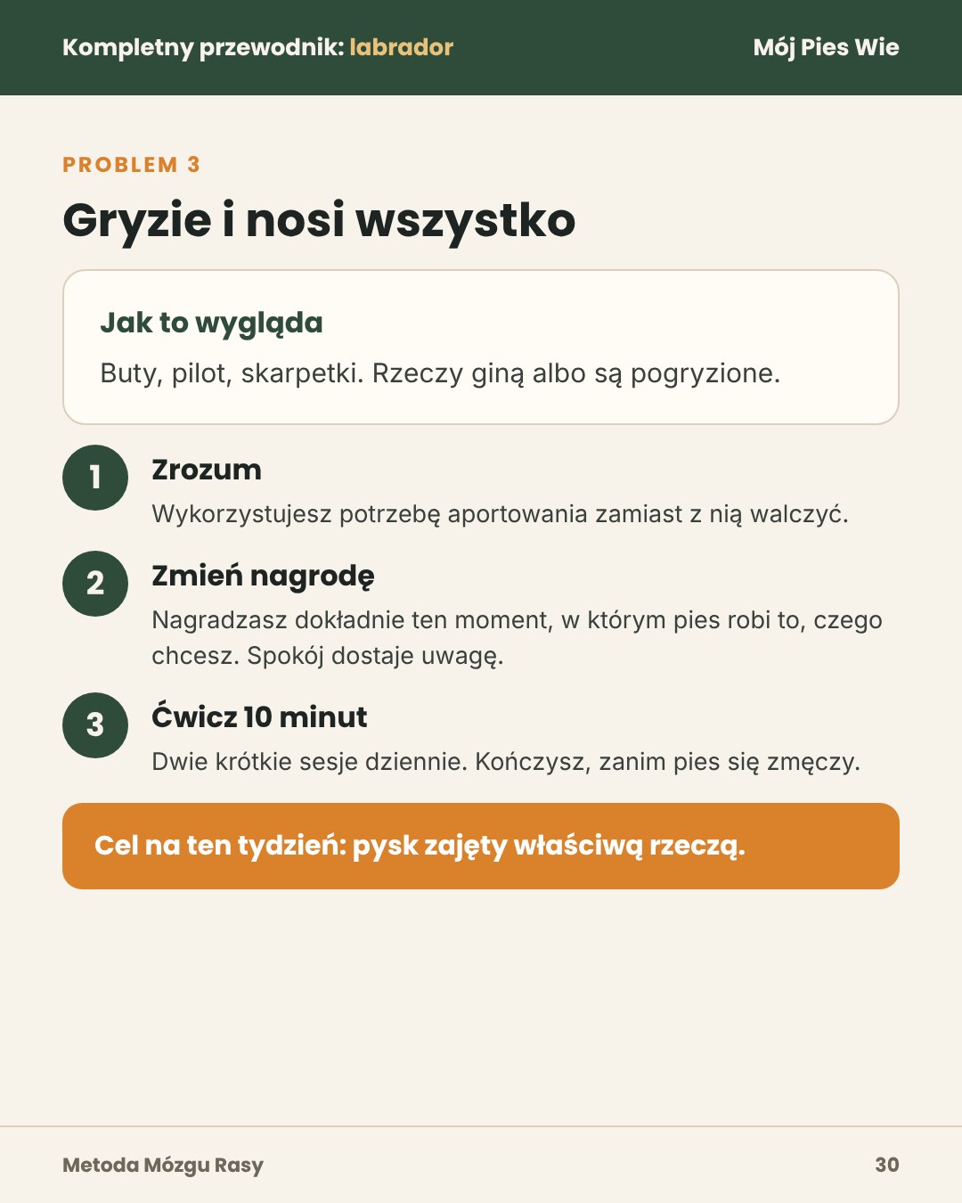 Przykładowa strona 1