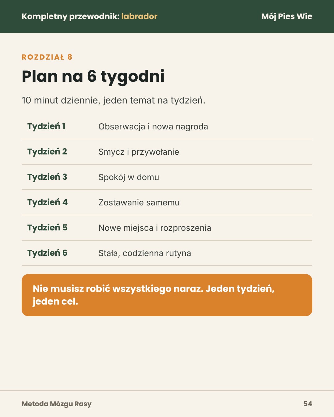 Przykładowa strona 2