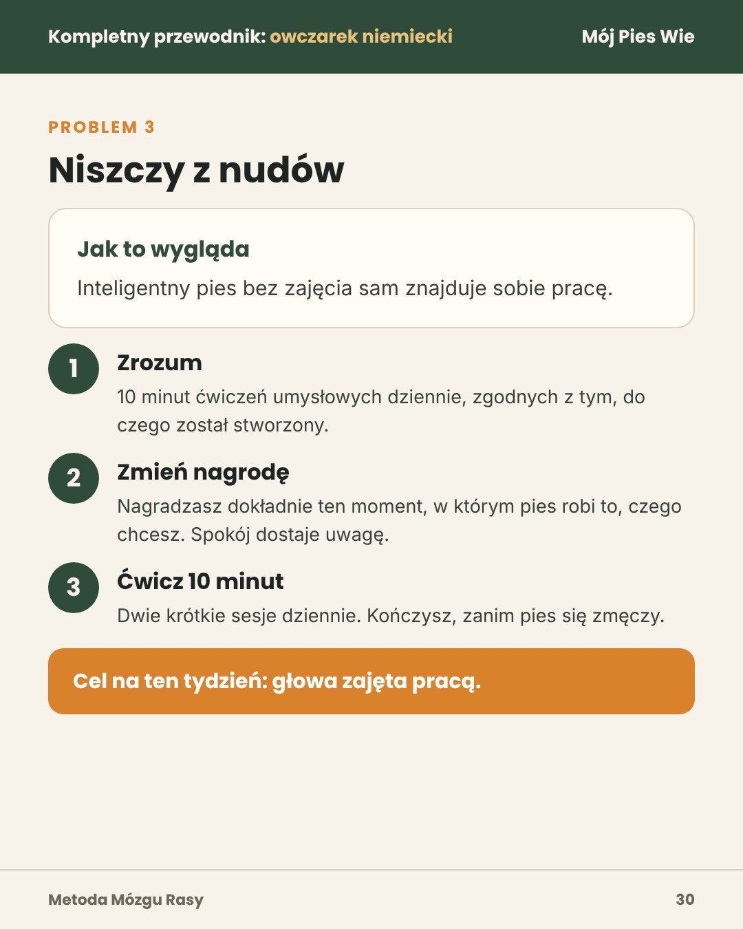 Przykładowa strona 1
